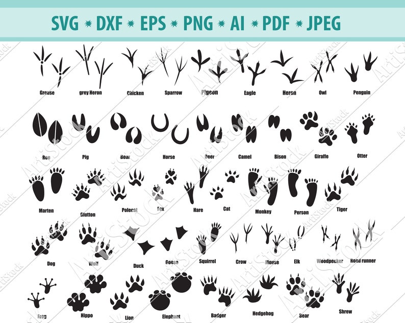 Download Animal Paw SVG Paw Prints SVG Footprints Svg Files for | Etsy