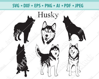 Husky SVG - Husky Silhouettes - Dog SVG - Digital Cutting File - Graphic Design - Cricut Cut - Instant Download - Svg, Dxf, Jpg, Eps, Png