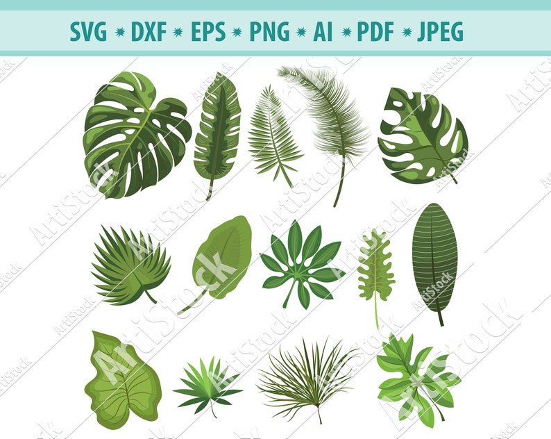 Download Hand drawn Palm leaves SVG Leaves SVG Palm leaves cut ...