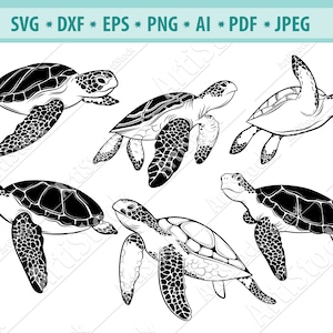 Download Clip Art Art Collectibles Tortoise Svg Zoo Animal Svg Turtle Clipart Cricut Silhouette Cut Files Commercial Personal Use Cameo
