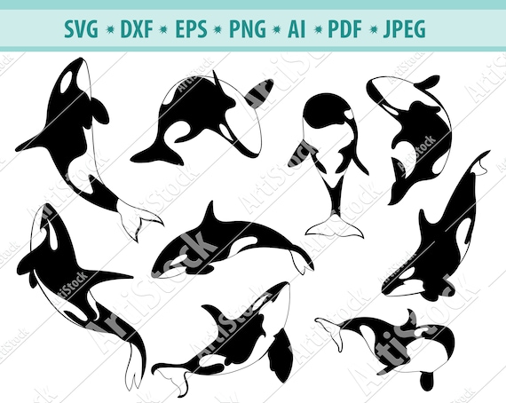 Download Orca Svg Bundle Killer Whale Svg Killer Whale Clipart Cut Etsy