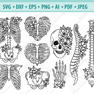 Skelet onderdelen SVG, Halloween skelet svg, Bloem Skelet svg, Floral Skull Svg, Skeleton clipart, Menselijke botten Svg, Svg gesneden bestand, jpg, dxf