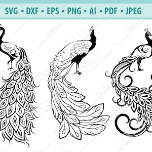 Peacock Svg File, Beatiful Bird Svg, Fancy Peacock Svg, Peacock cut files, Peacock Clipart, Peacock Feather Svg, Bestand voor cricut, Eps, Png