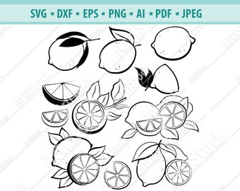 Lemon SVG, Lemon Citrus, citrus Outline, fruit SVG, Lemon Graphics, Illustration, Vector, Logo, Digital, Clipart Lemon SVG Files For Cricut