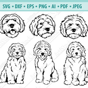Goldendoodle SVG, Hunde Silhouetten, Hunde SVG, digitale Datei zum Schneiden, Vektor, Datei für Cricut, Sofort Download, Dxf, Jpg, Eps, Png