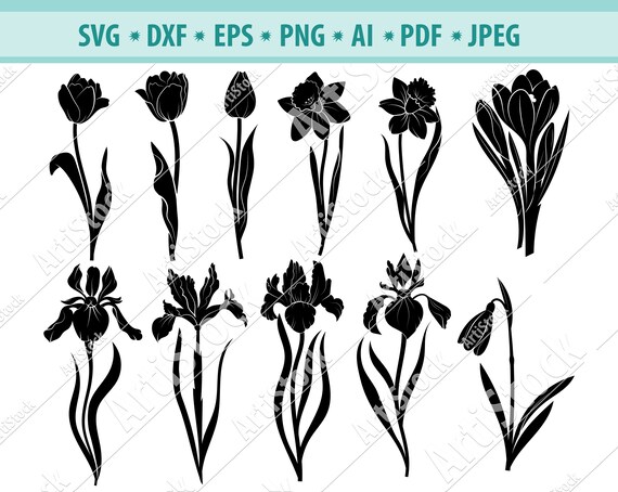 Download Tulip Svg Narcissus Svg Iris Svg Crocus Svg Flower Svg Etsy PSD Mockup Templates