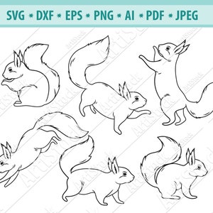 Fichier Svg écureuil, Écureuil forestier Svg, Animal moelleux Svg, Portrait d’écureuil Svg, Animal des bois Svg, Fichier de coupe d’écureuil, Png, Eps, Dxf, Vecteur