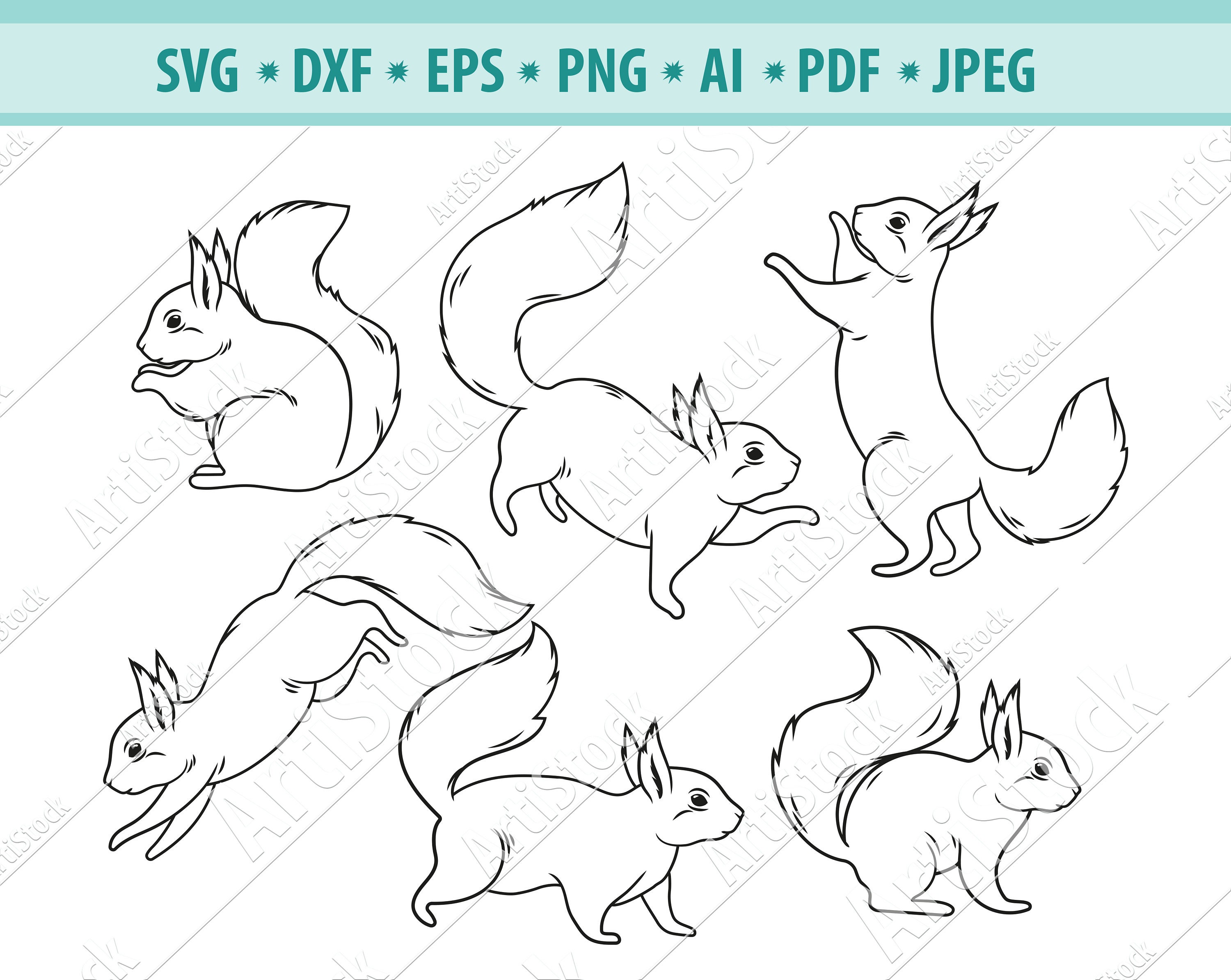 Squirrel Svg File Forest Squirrel Svg Fluffy Pet Svg - Etsy