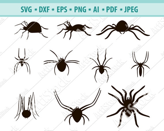 Spider Svg Animal Print SVG Cut File black spider Svg Png DXF Pdf Digital Download file Spider SVG