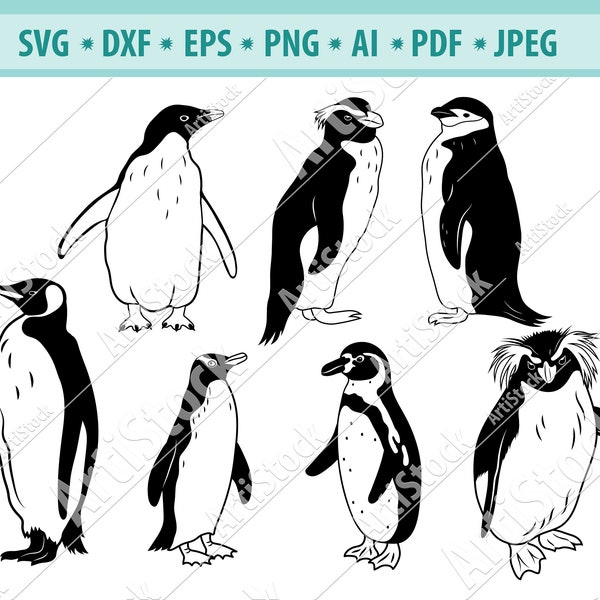 Penguin SVG, Penguin Clipart, Penguin Files for Cricut, Humboldt Penguin SVG, Penguin Cut Files For Silhouette, King penguin Dxf, Png, Eps