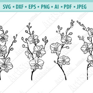 Orchids Flower SVG, Orchid SVG, Flower Svg, Orchid cut file, Floral svg file, Flower Clipart, Orchid branch Svg, Tropical flower Svg, Cricut