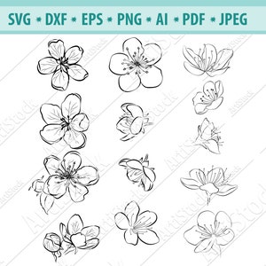 Fiore di ciliegio SVG, fiori Sakura Svg, clipart fiori di ciliegio, fiori primaverili per cricut, albero in fiore Dxf, Svg, Eps, disegni Cameo File