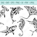 see more listings in the Animals section
