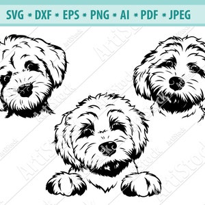 Labradoodle svg, Dog svg, Fluffy pets  Svg, Smiling Puppy Svg, Svg cutting file, Pets head Png, Dog Silhouettes, Cute Face clipart, Vector