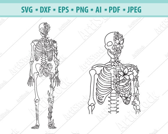 Skeleton SVG File Flower Skeleton Svg Skeleton Silhouette | Etsy