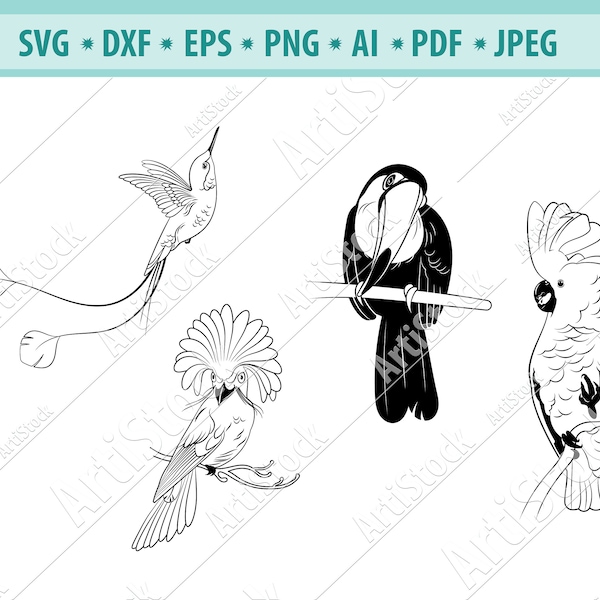 Exotic birds Svg, Cockatoo Svg, Tropical birds Svg, Hummingbird Svg, Bird Clipart, Toucan SVG, Bird on branch Png, Cricut, Silhouette, Eps