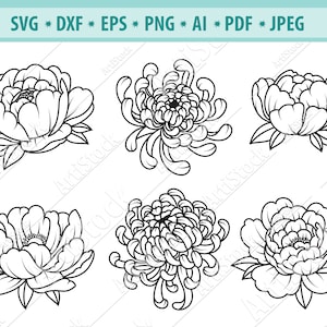 Peony Svg Bundle, Pfingstrosen Blumen Svg, Pfingstrose Clipart, Pfingstrose Blätter Svg, Blumenkranz Svg, Blumen Svg, Hochzeit Pfingstrose Svg, Silhouette, Cricut