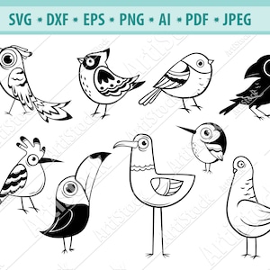 Birds Svg File, Exotic bird Svg, Funny bird Svg, Cartoon bird Svg, Birds clipart, Flying birds svg, Svg Cut Files, Forest bird Svg, Eps, Dxf
