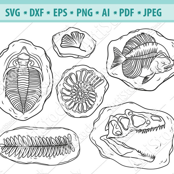 Fossils Svg Bundle, Ammonoid Fossil Svg, Dinosaur Fossil Svg, Ancient Fossils Svg, Trilobite fossil Svg, Archaeology Svg, Vector, Eps, Png