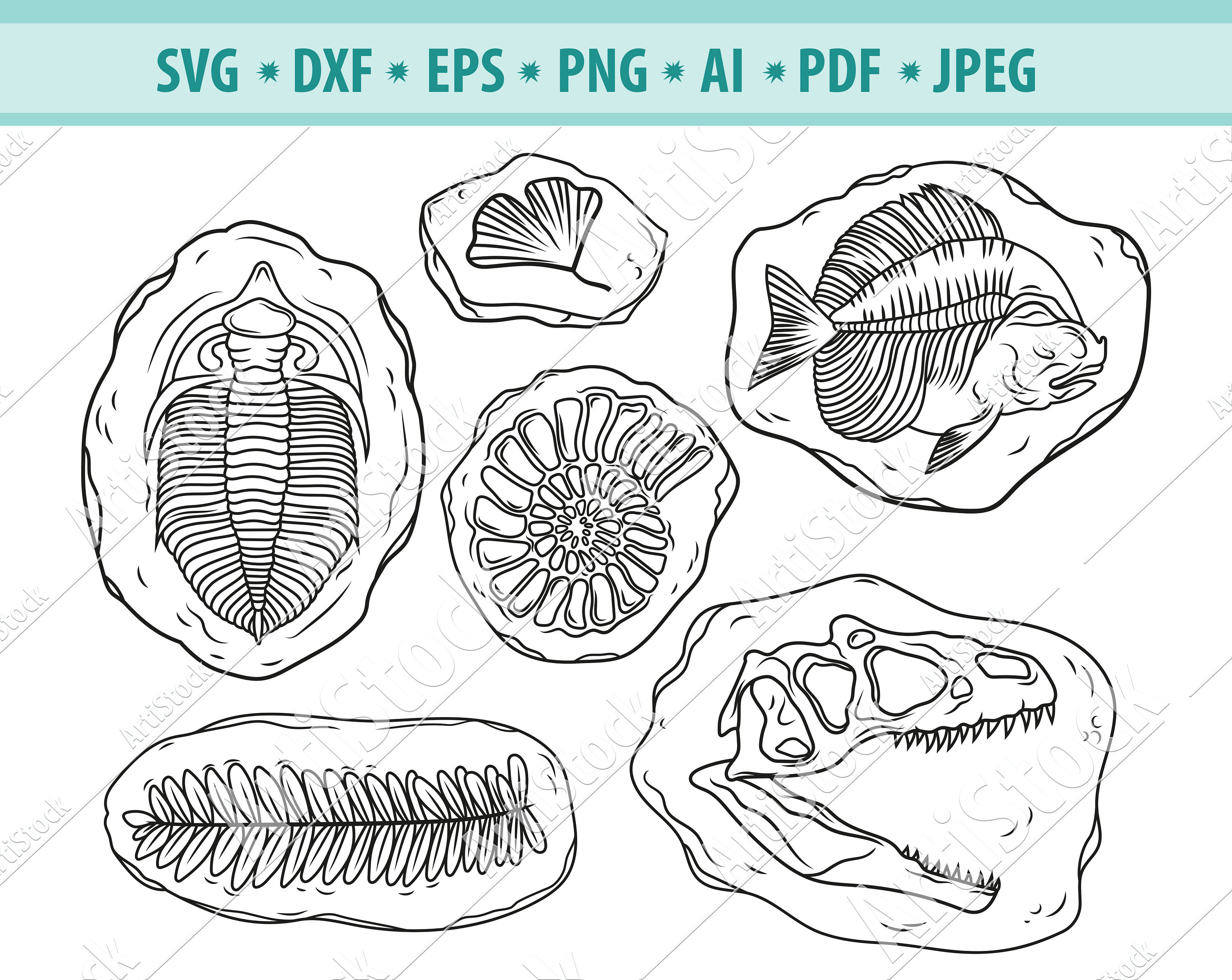 Fossils Svg Bundle Ammonoid Fossil Svg Dinosaur Fossil Svg Etsy Israel