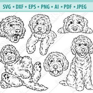 Goldendoodle SVG, Siluetas de perros, Perros SVG, Archivo de corte digital, Archivo vectorial, Archivo para Cricut, Descarga instantánea Svg, Dxf, Jpg, Eps, Png