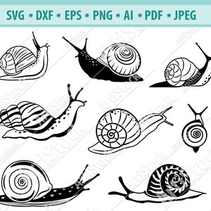 Slakken SVG Bestand, Slakken SVG, Snail Vector Image, Tuin dieren clip art Svg, Download Graphic Cricut, Instant Download Dxf, Jpg, Eps, Svg