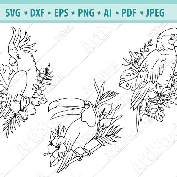 Exotic birds Svg, Cockatoo Svg, Flower tropical birds Svg, Floral parrot Svg, Bird Clipart, Toucan SVG, Bird on branch Png, Cricut, Eps, Dxf