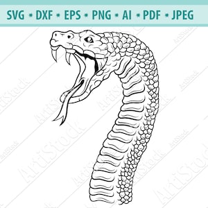 Download Png Jpg Dxf Rattlesnake Svg Snake Silhouette Svg Snake Svg Clipart Cut File Vector Art Reptile Svg Eps Silhouette Svg Scrapbooking Paper Party Kids Vadel Com