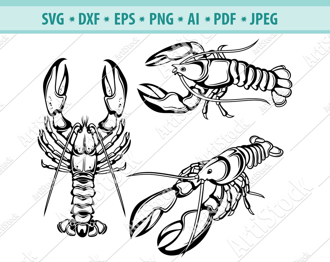 Lobster Shell Vector Lobster Svg Beach Svg Shell Fish Silhouettes Sea Animals - Etsy