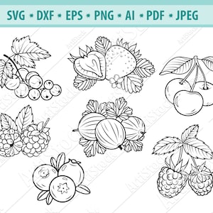 Beere Svg Bundle, Erdbeere Svg, Obst Svg, Berry Clipart, Himbeere geschnitten Dateien, Heidelbeere Svg, Beeren geschnitten Datei, gesundes Essen Dxf, Png, Eps