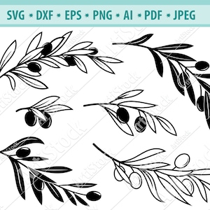OlivenZweig Svg, Olive Svg, Olive Clipart, Olive Silhouette, botanische Svg, Lorbeer Kranz Svg, Oliven Blatt Svg, Datei für Cricut, Png, Eps