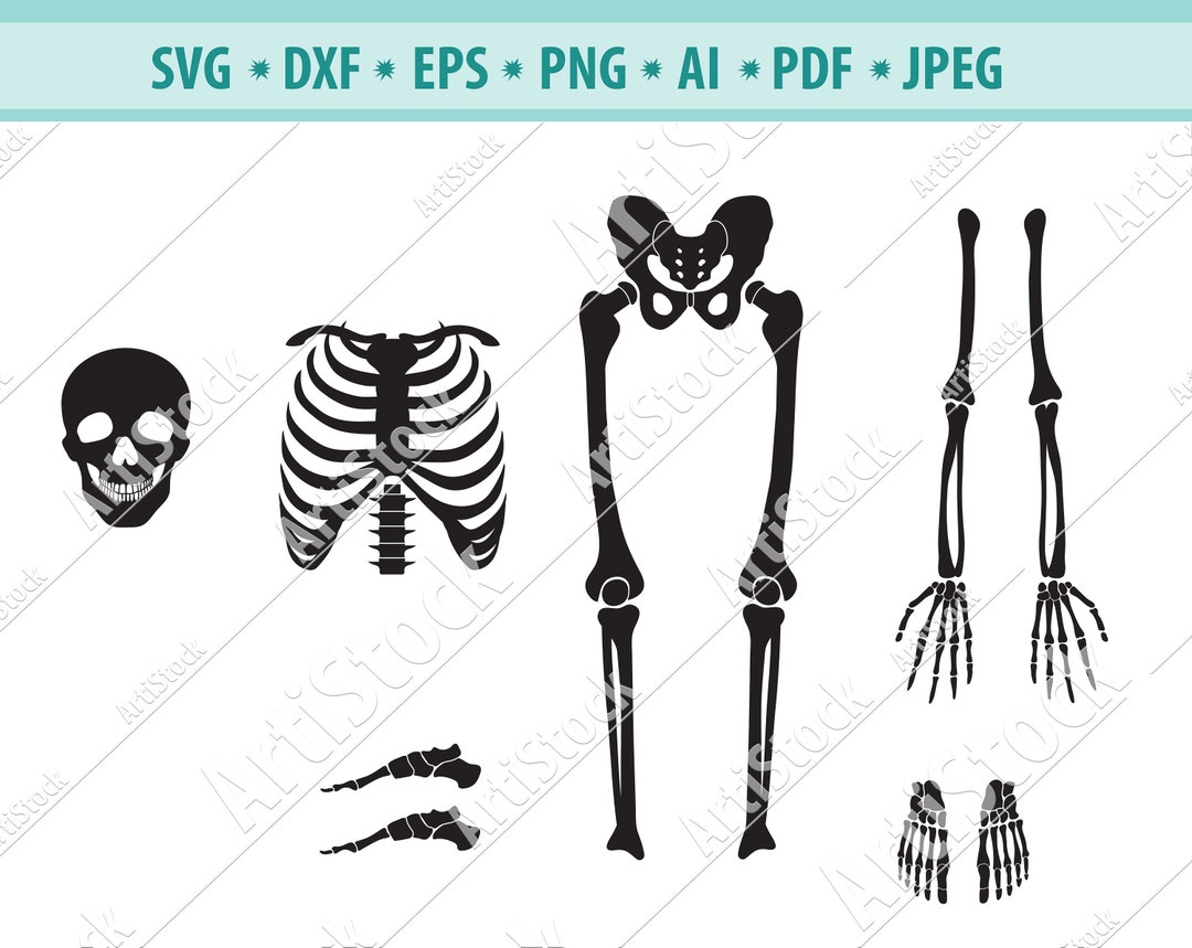Skeleton Parts SVG Halloween Skeleton Svg Skeleton Svg - Etsy