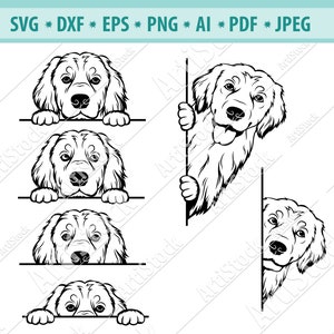Peeking Golden retriever Svg, Retriever Svg, Peeking Smiling Dog Svg, Pet logo, Puppy Paw Svg, Purebred dog Svg, Golden retriever Png, Dxf,