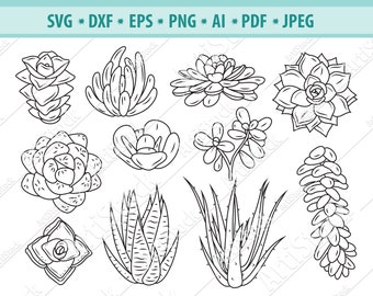 Cactus SVG Bundle, Succulents SVG, Plants Clipart, Cactus Files For Silhouette, Files for Cricut, Plants Vector Svg, Dxf, Png, Eps, Design