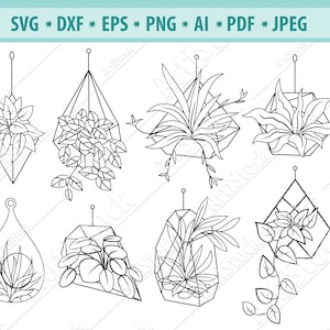 Piante SVG, Piante in vaso Svg, Houseplants Svg, Flower Pot Clipart, Gardening SVG, Piante appese in vasi, File per cricut, Silhouette cameo