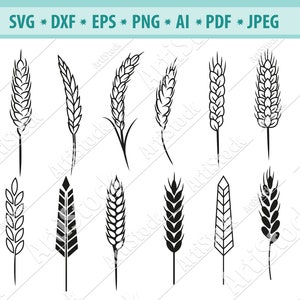 Trigo Svg, Espiga de trigo Svg, Grano Svg, Imágenes De Trigo, Limas de Trigo Cortado, Granja Svg, Cosecha Svg, Forma de trigo Svg, Silueta de trigo, Dxf, Png, Eps