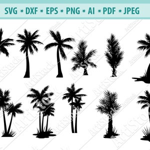 Paquete SVG de Palm Tree, Palm Tree SVG, Palm Tree Clipart, Palm Cut Files For Silhouette, Files for Cricut, Vector, Svg, Dxf, Png, Eps, Design