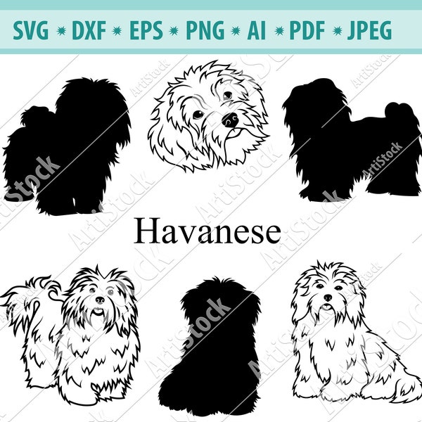 Havanesische Hund SVG, Havaneser Silhouette SVG, Hund SVG, digitale schneiden Datei, Vektor-Datei, Cricut geschnitten, Instant Download, Svg, Dxf, Jpg, Eps, Png