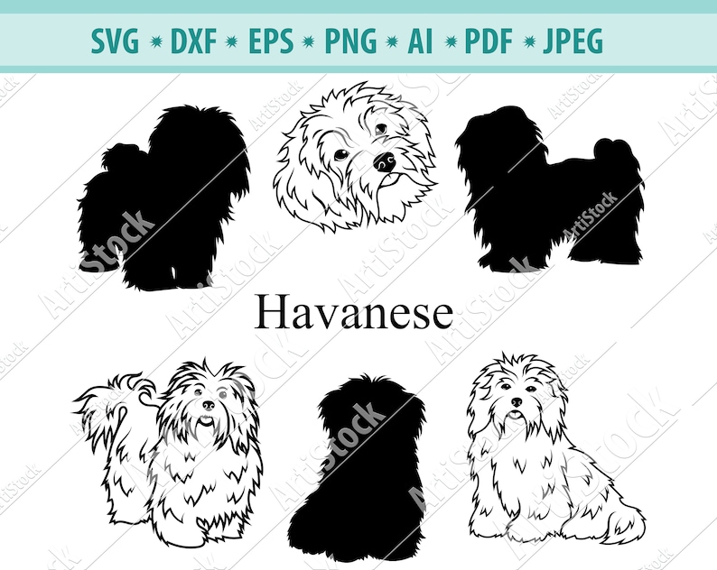 Havanese dog SVG Havanese Silhouette SVG Dog SVG Digital Etsy