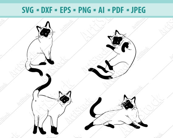 Siamese Cat Svg Cat Portrait Svg Siamese Cat Clipart Cat | Etsy