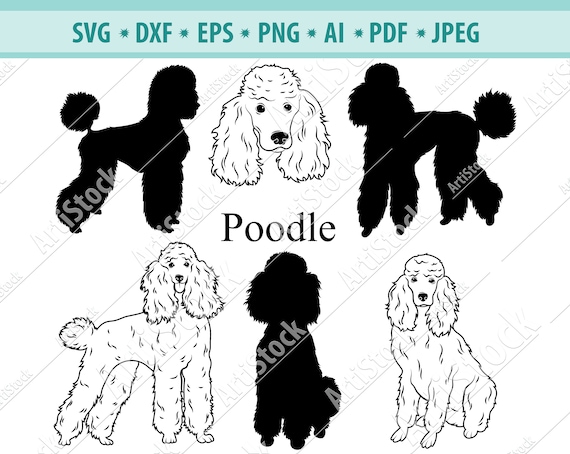 Download Poodle Svg Standard Poodle Svg Dogs Svg Digital Cutting Etsy
