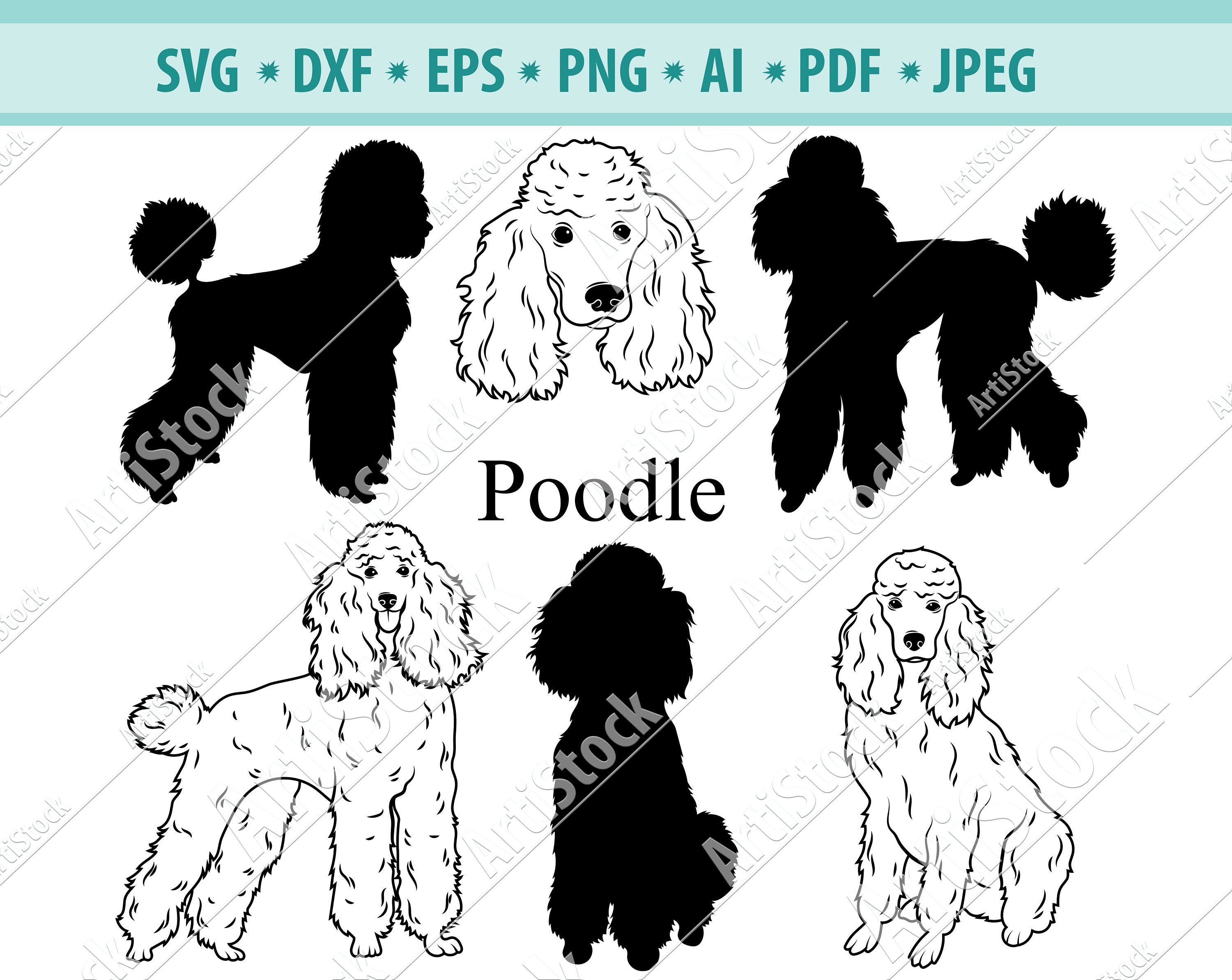 Poodle SVG Standard Poodle SVG Dogs SVG Digital Cutting | Etsy