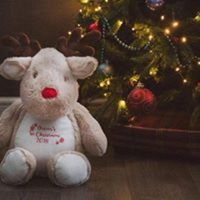 personalised christmas teddy