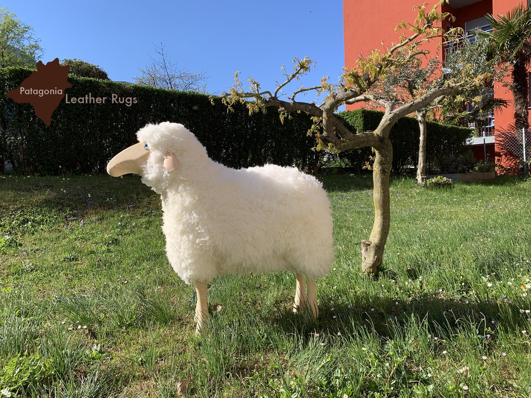 épine sheep mouton coat⭐️ épine sheep mouton coat Laskin Mouton Genuine Dyed Lambskin