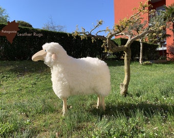 Sheep, white fur, pine wood - Schaf, weisses Fell, Kiefer - Mouton, fourrure blanche, bois de pin - For outdoor and indoor