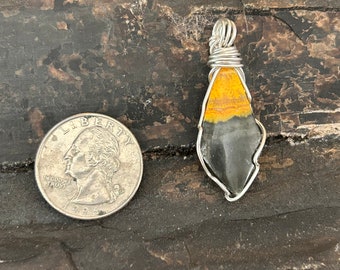 Bumble bee jasper