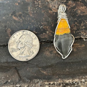 Bumble bee jasper image 3