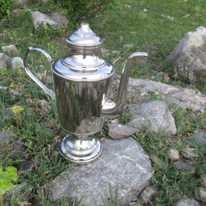 May include: A silver teapot with a rounded body and a lid with a knob on top. The teapot has a spout and a handle. It is sitting on a rock in a grassy area.