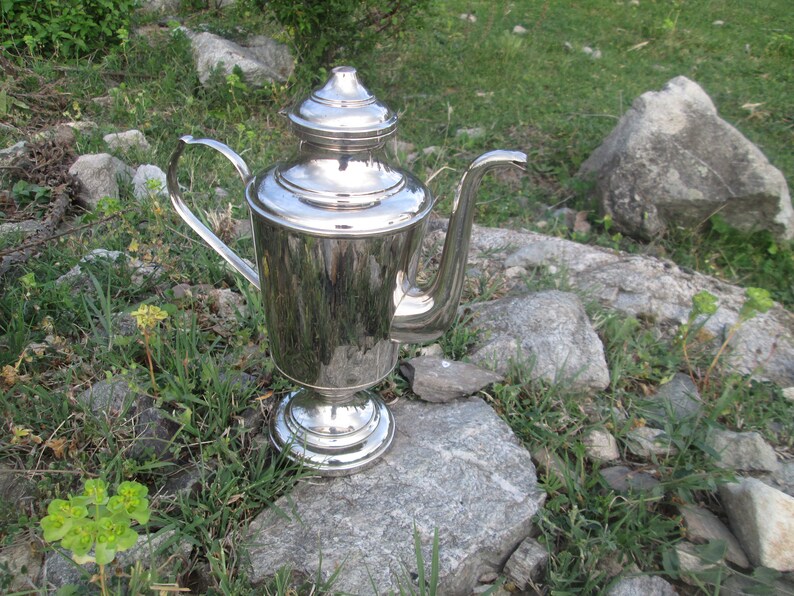 May include: A silver teapot with a rounded body and a lid with a knob on top. The teapot has a spout and a handle. It is sitting on a rock in a grassy area.