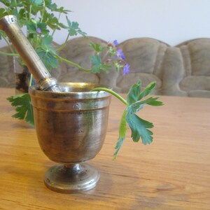 May include: A silver mortar and pestle with a green plant stem and leaves resting on the rim. The mortar and pestle are on a wooden table.